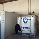 IMG_20191120_113947793