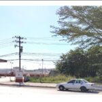 WhatsApp Image 2024-02-03 at 12.37.22